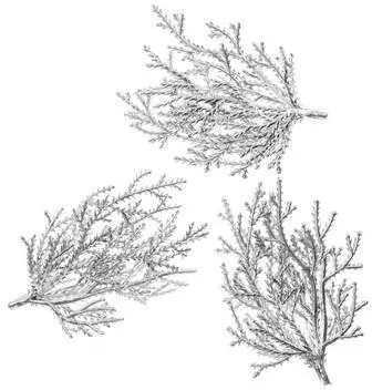 Gałązki srebrne 9cm 3szt - tantis.pl