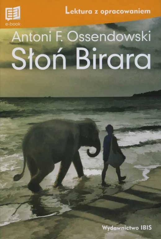 Słoń Birara. Lektura z opracowaniem - tantis.pl