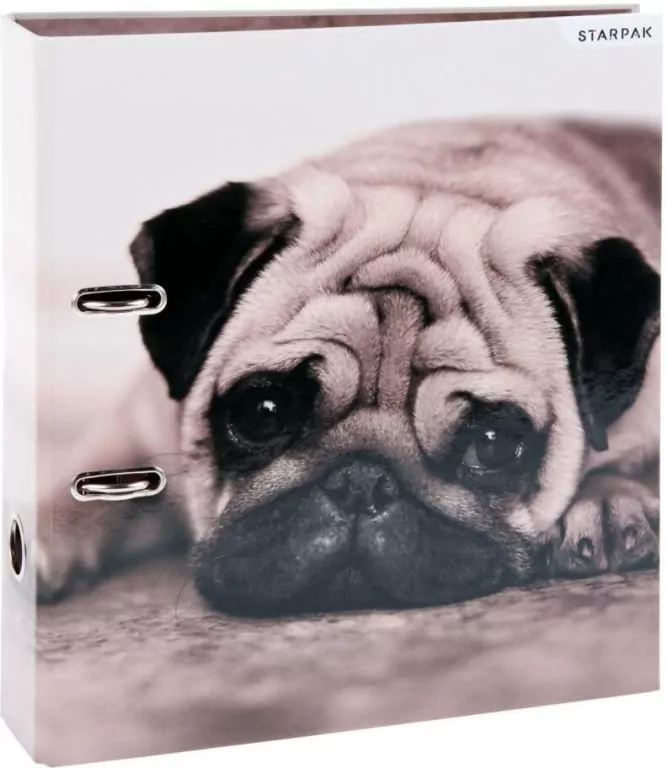 Segregator A4 Psy - tantis.pl