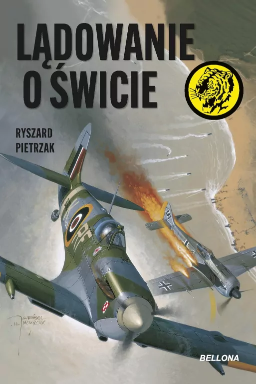 Lądowanie o świcie - tantis.pl