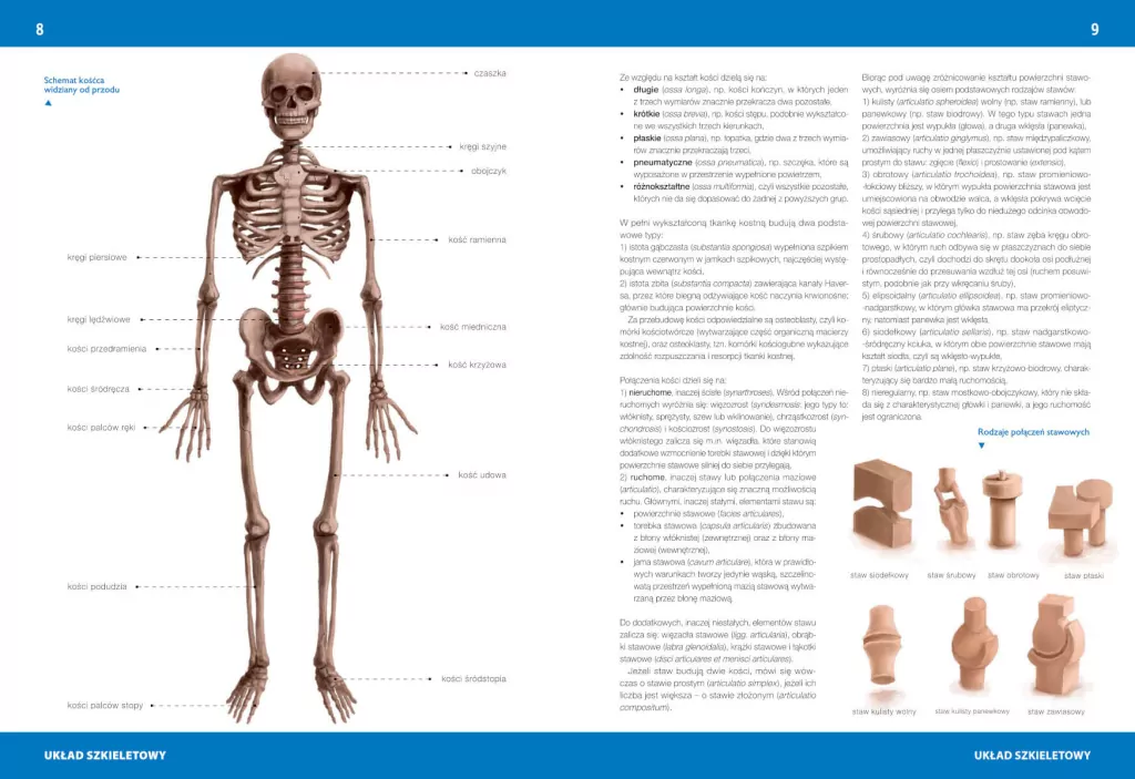 Atlas anatomiczny - tantis.pl