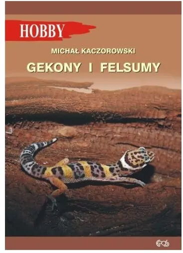 Gekony I Felsumy - tantis.pl
