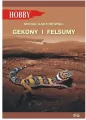 Gekony I Felsumy - tantis.pl