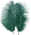 OZDOBA PIORKA 15-20CM 2SZT ZIEL CF 12/864 - tantis.pl