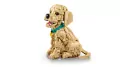 LEGO® Icons. Szczeniak golden retriever 11384 - tantis.pl