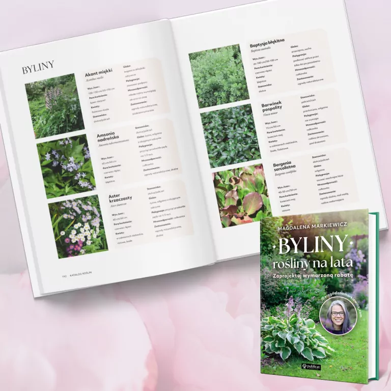 Byliny: rośliny na lata. Zaprojektuj wymarzoną rabatę - tantis.pl