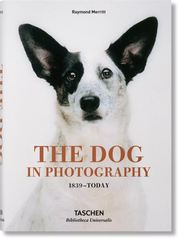 The Dog in Photography - tantis.pl