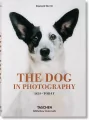 The Dog in Photography - tantis.pl