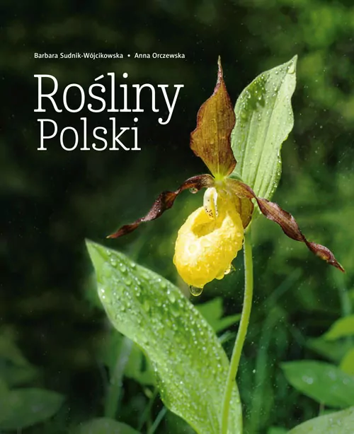 Rośliny Polski - tantis.pl