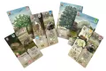 Tajniacy Duet - tantis.pl