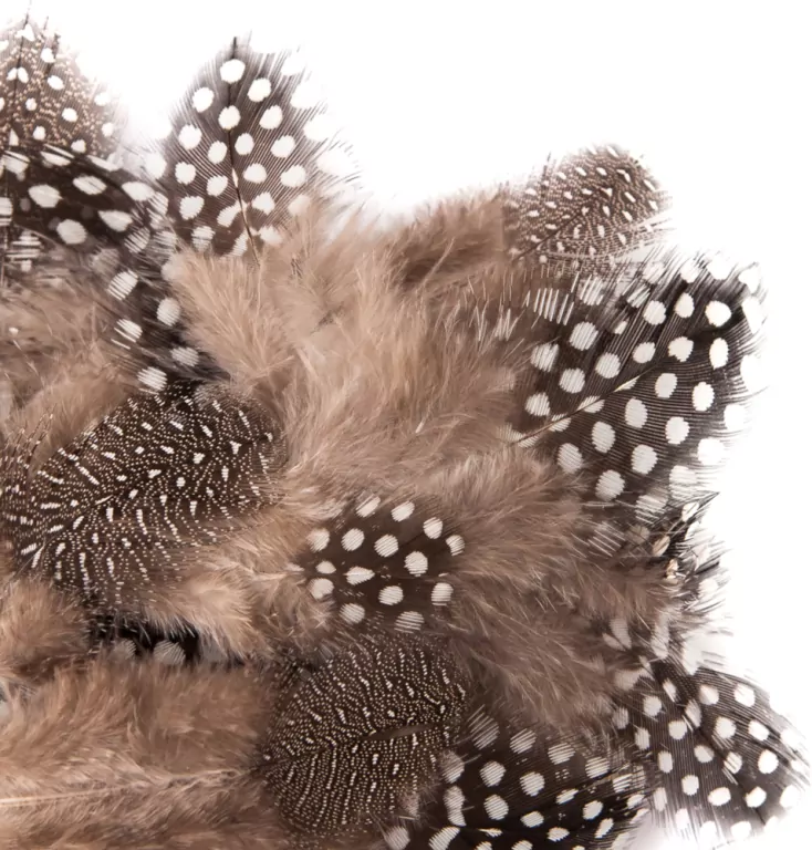 Piórka przepiórcze 5-12 cm 5g - tantis.pl