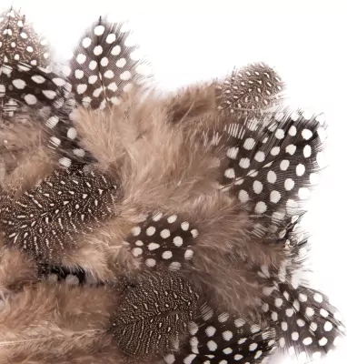 Piórka przepiórcze 5-12 cm 5g