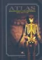 Atlas anatomii człowieka - tantis.pl