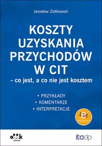 Koszty uzyskania przychodów w CIT - co jest, a co nie jest kosztem - tantis.pl