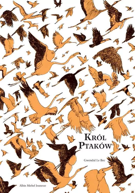 Król ptaków - tantis.pl