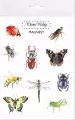 Magnesy. Owady - tantis.pl