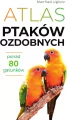 Atlas ptaków ozdobnych. Ponad 80 gatunków - tantis.pl