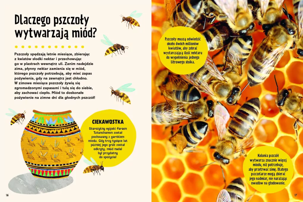 Britannica. Wielka księga pytań dlaczego - tantis.pl