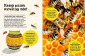 Britannica. Wielka księga pytań dlaczego - tantis.pl