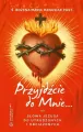 Przyjdźcie do Mnie... - tantis.pl