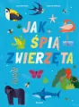 Jak śpią zwierzęta - tantis.pl