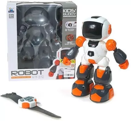 Robot na radio z funkcją nagrywania