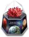 Hodowla Kryształów czerwone - tantis.pl