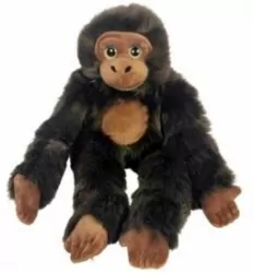 Szympans big eyes 50cm