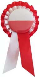 Kotylion Biało-Czerwoni. Euro 2024