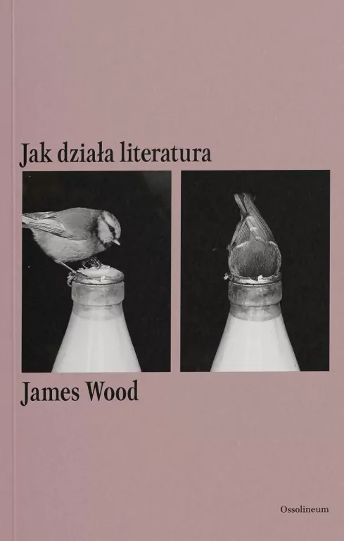 Jak działa literatura - tantis.pl