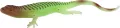 JASZCZURKA GUM 15CM MIX MC DISP 12/360/720 - tantis.pl