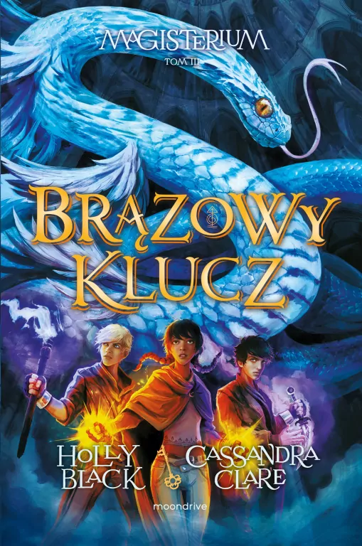 Brązowy klucz. Magisterium. Tom 3 - tantis.pl