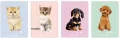 Zeszyt A5/16K kolorowa trzylinia Puppy Sign(20szt) - tantis.pl
