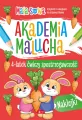 Akademia malucha. 4latek ćwiczy spostrzegawczość - tantis.pl