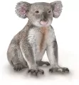 Miś koala - tantis.pl
