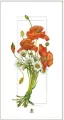 Karnet kwiaty maki 12x23 + koperta - tantis.pl