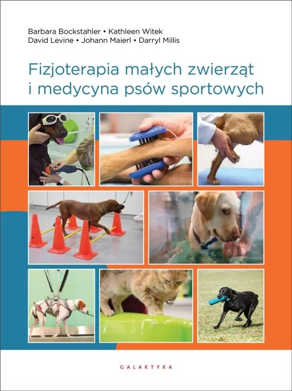 Fizjoterapia małych zwierząt i medycyna psów sportowych - tantis.pl