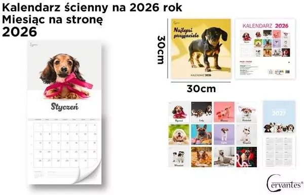 Kalendarz 2026 ścienny 30x30cm Psy - tantis.pl