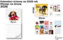 Kalendarz 2026 ścienny 30x30cm Psy