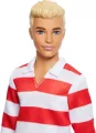 Barbie Stylowy Ken - tantis.pl
