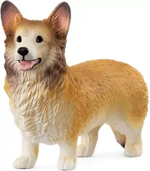 Corgi