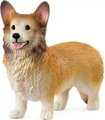 Corgi