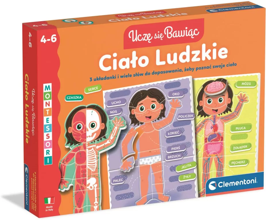 Ciało Ludzkie - tantis.pl
