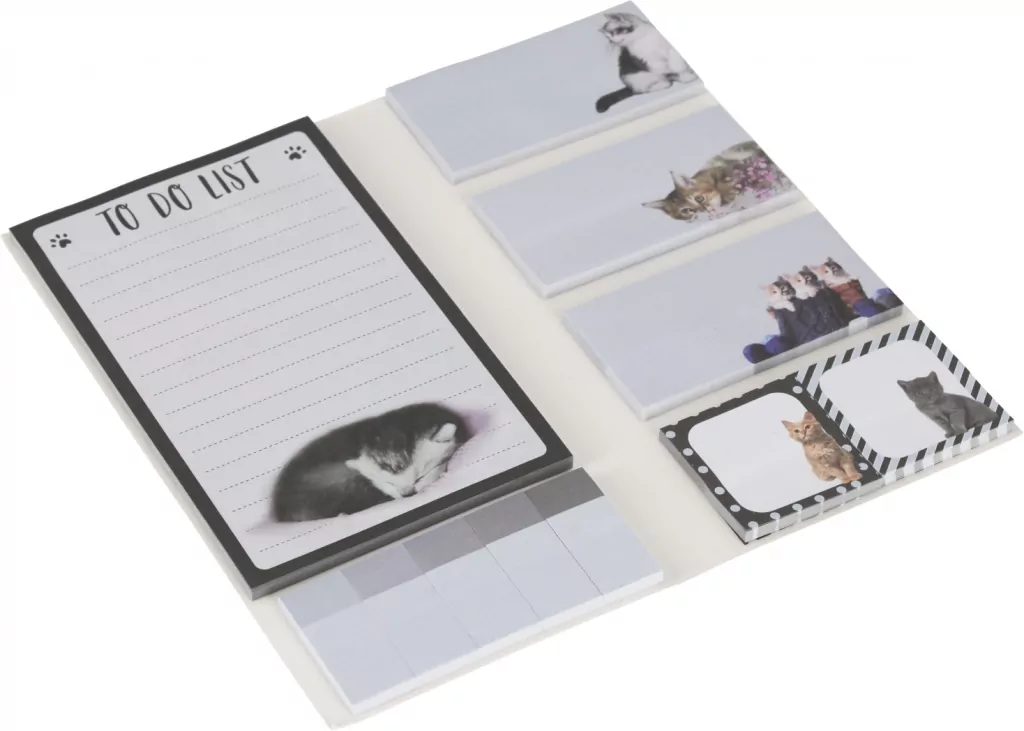 NOTES ZAKLADKI IND 200X100 KITTY STK PB 24/96 - tantis.pl