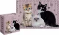 Puzzle 250 Puppy Sign 1 - tantis.pl