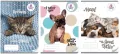 Zeszyt The sweet pets. A4/32K kratka. 10 sztuk - tantis.pl