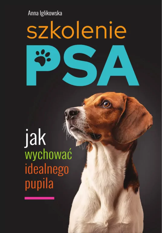 Szkolenie psa. Jak wychować idealnego pupila - tantis.pl