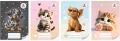 Zeszyt A5/16k linia kol. Sweet Pets - tantis.pl