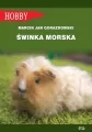 Świnka morska - tantis.pl
