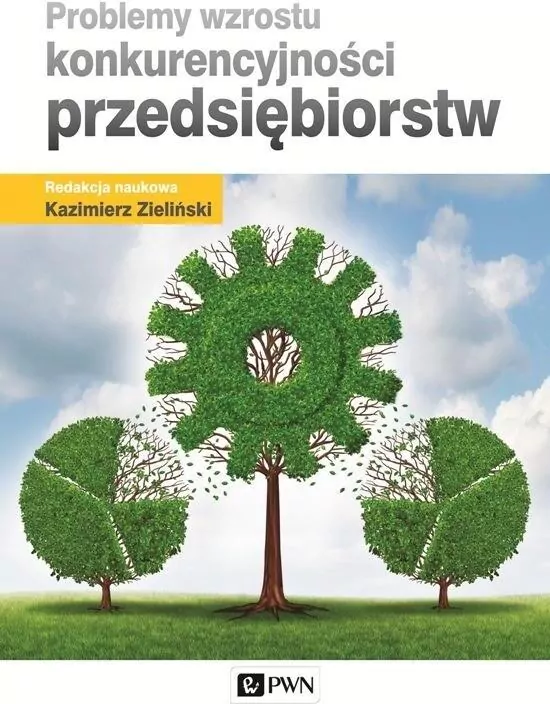 Problemy wzrostu konkurencyjności przedsiębiorstw - tantis.pl